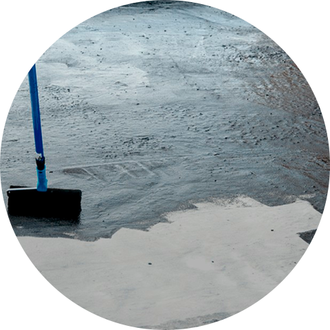IMAGE1