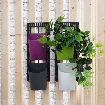 Conjunto 4 Vasos Colors Conjunto 4 Vasos Colors