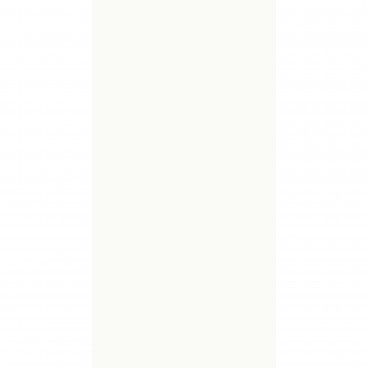Revestimento Branco Brilho Retificado 30x60 Revestimento Branco Brilho Retificado 30x60