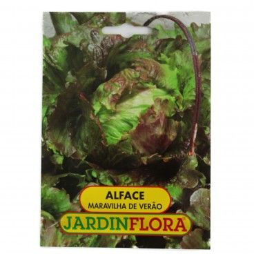 Sementes de Alface Maravilha de Verão Sementes de Alface Maravilha de Verão