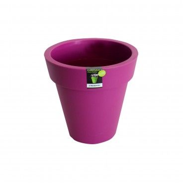Vaso Colors Pequeno
