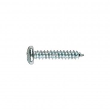 Parafuso Autorroscante para Chapa Cabea Cilndrica Ph DIN-7981 20un