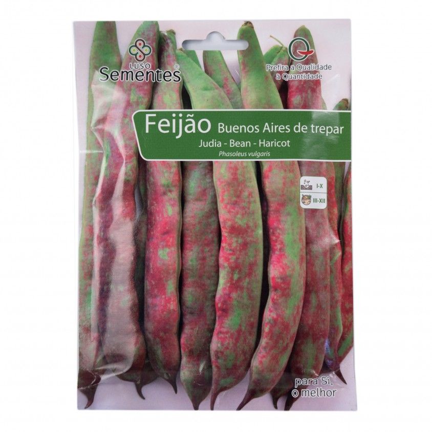 Semente Feijo Buenos Aires Trepar 100gr