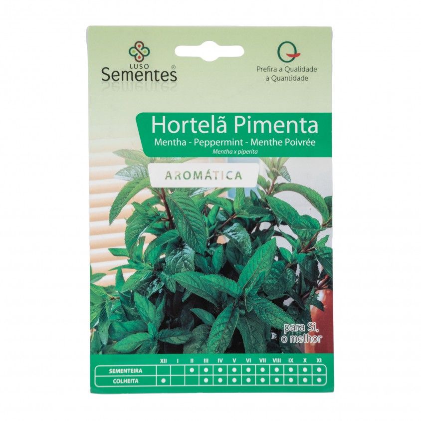 Semente Hortel Pimenta 0,1gr