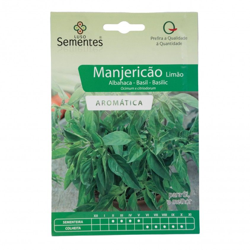 Semente Mangerico Limo 2gr