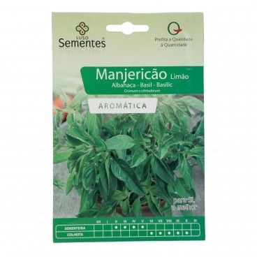 Semente Mangericão Limão 2gr Semente Mangericão Limão 2gr