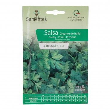 Semente Salsa Gigante Italia 10gr