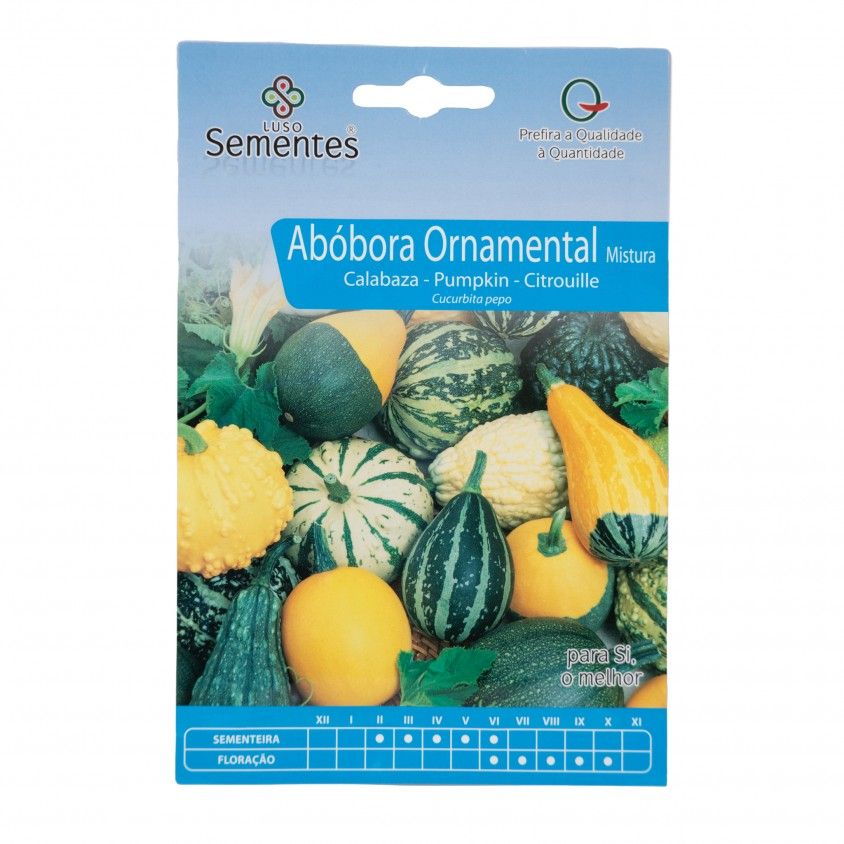 Semente Abbora Ornamental Mistura 3gr