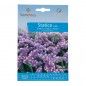Semente Statice Lilas 0,5gr