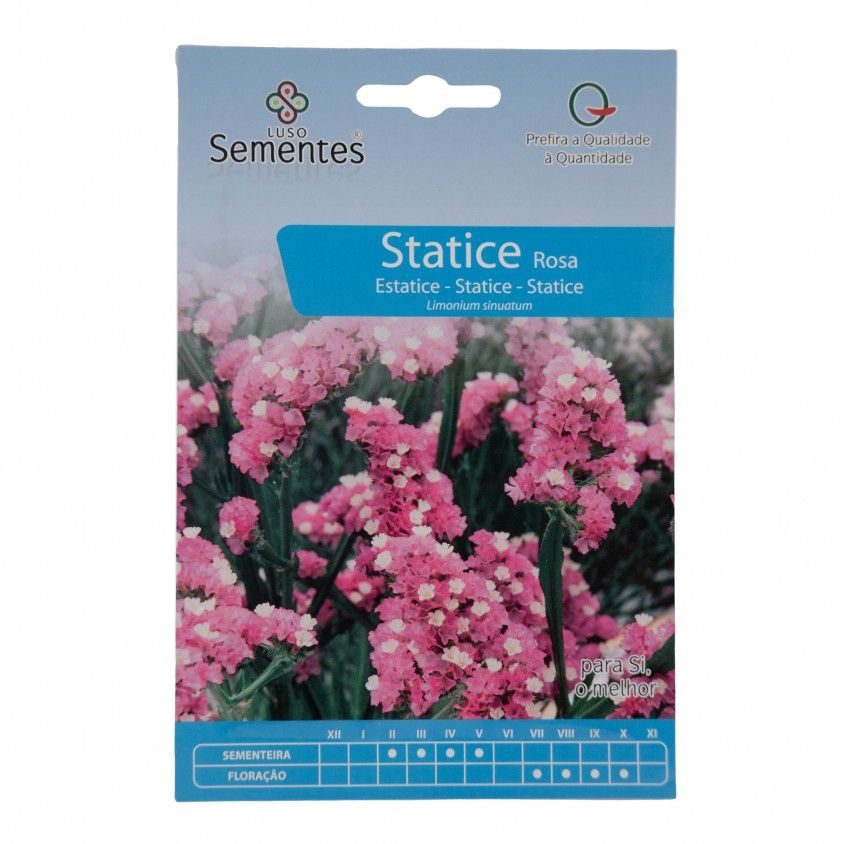 Semente Statice Rosa 0,5gr Semente Statice Rosa 0,5gr