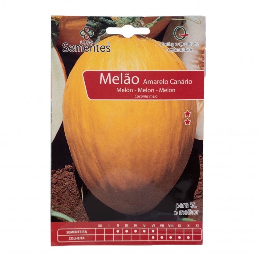 Semente Melão Amarelo Canario 10gr Semente Melão Amarelo Canario 10gr