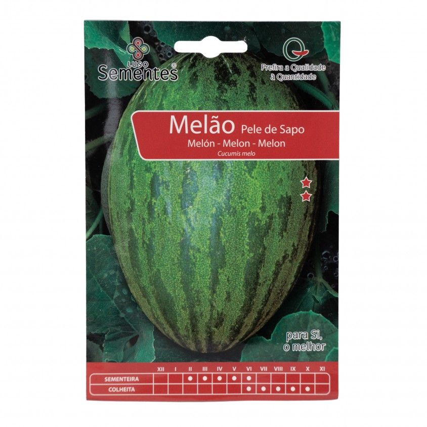 Semente Melão Pele Sapo 10gr Semente Melão Pele Sapo 10gr
