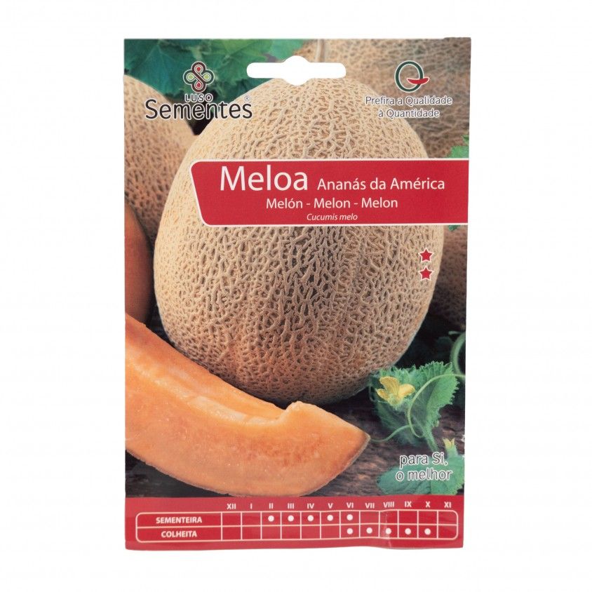 Semente Meloa Ananas America 10gr Semente Meloa Ananas America 10gr