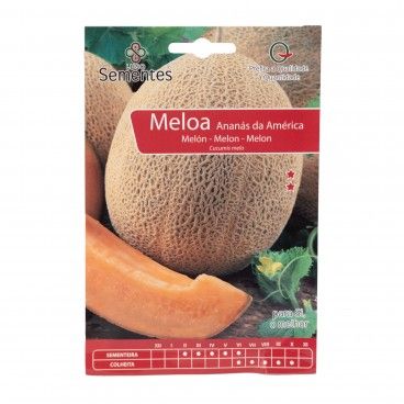 Semente Meloa Ananas America 10gr