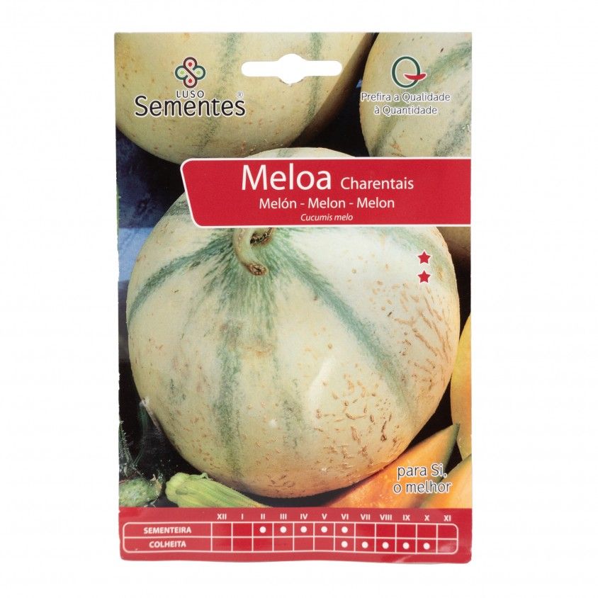 Semente Meloa Charentais 10gr