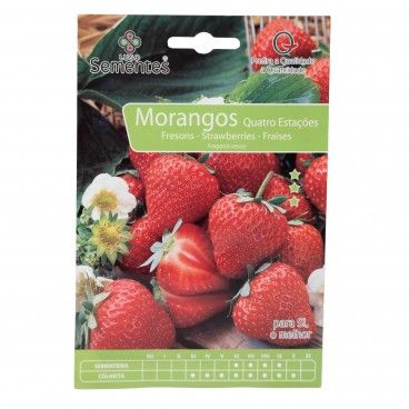 Semente Morangos 0,1gr