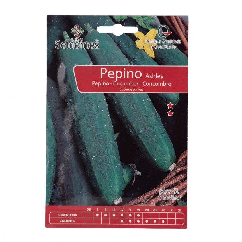 Semente Pepino Ashley 10gr