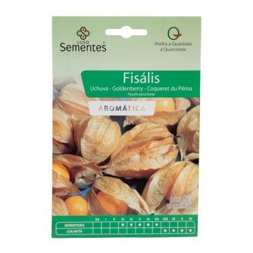 Semente Fisalis 1gr Semente Fisalis 1gr