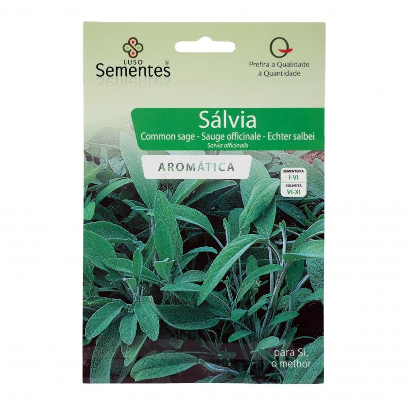 Semente Salvia 1gr