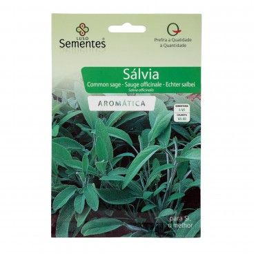 Semente Salvia 1gr Semente Salvia 1gr