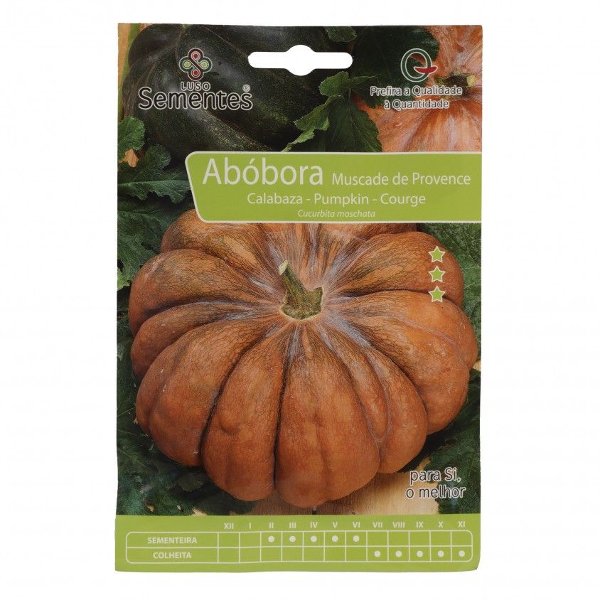 Semente Abóbora Muscade Provence 10gr Semente Abóbora Muscade Provence 10gr