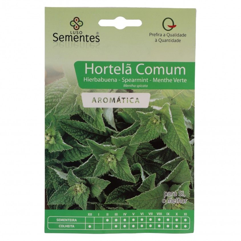 Semente Hortel Comum 0,1gr