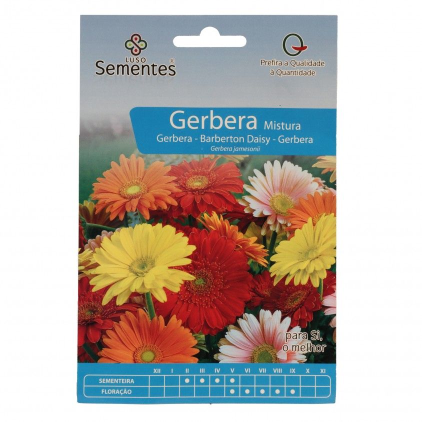 Semente Gerbera Mistura 0,1gr