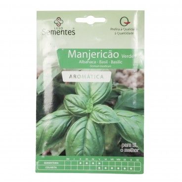 Semente Mangericão Verde 2gr Semente Mangericão Verde 2gr