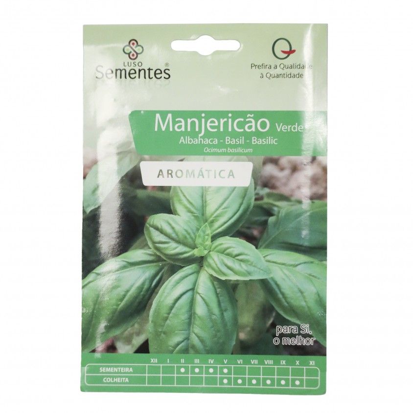 Semente Mangerico Verde 2gr