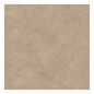 Pavimento Revigres Omnistone Platina Soft 60x60
