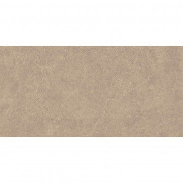 Revestimento Revigres Omnistone Platina Soft 60x120