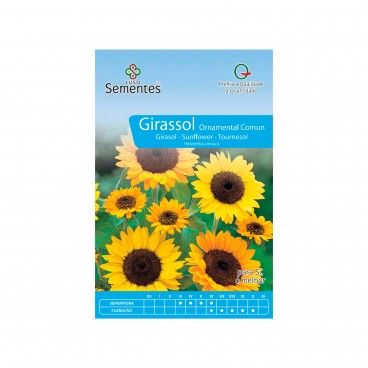 Semente Girassol Ornamental Comum 10gr