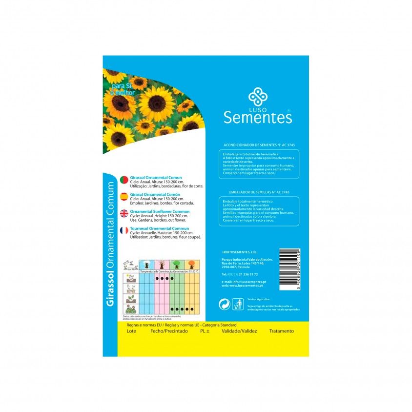 Semente Girassol Ornamental Comum 10gr Semente Girassol Ornamental Comum 10gr