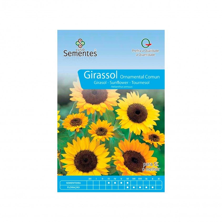 Semente Girassol Ornamental Comum 10gr