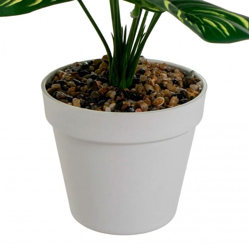 Planta Artificial Calathea 37cm