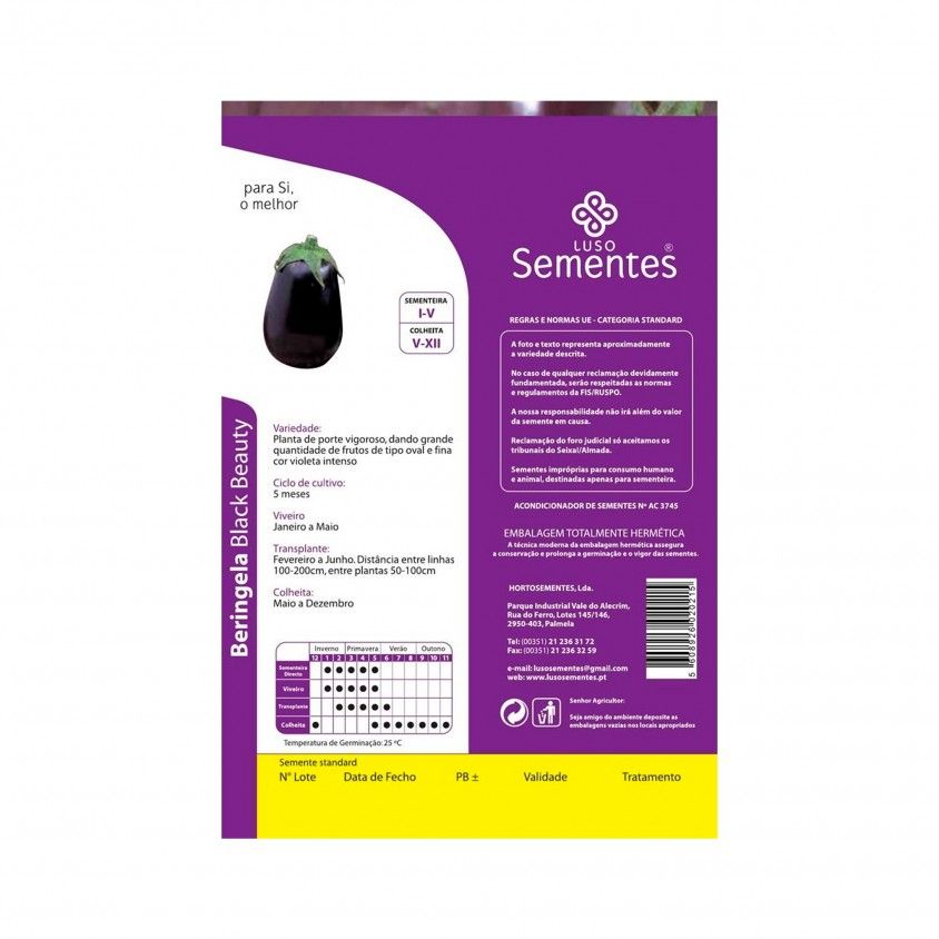 Semente Beringela Black Beauty 10gr Semente Beringela Black Beauty 10gr
