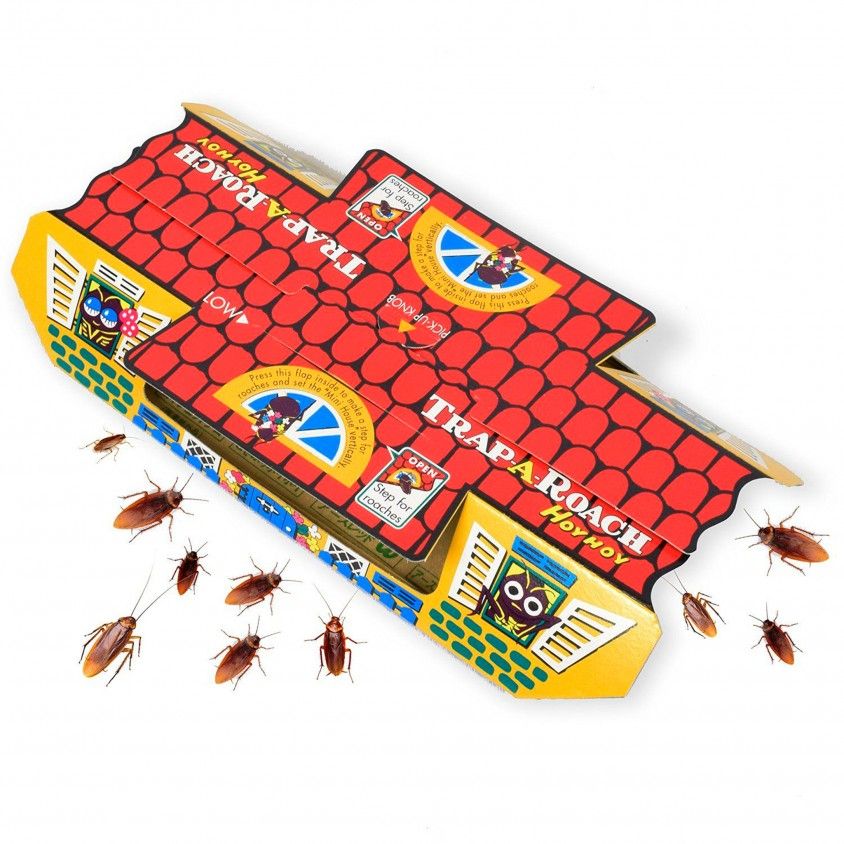 Armadilha Caa Baratas 5Uni