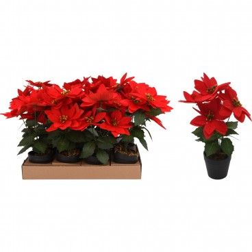 Flor de Natal 29cm