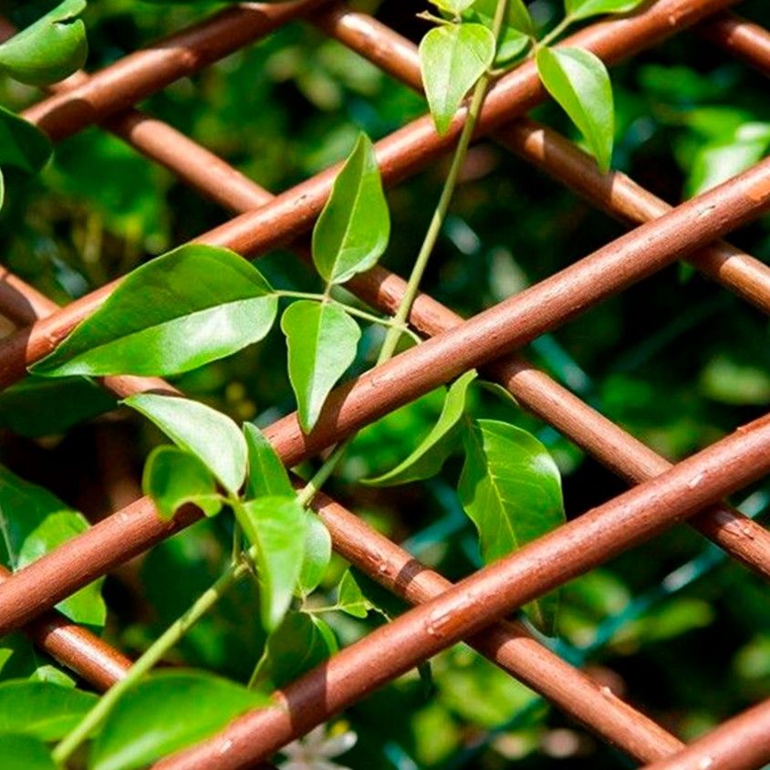 Painel Decorativo Vime Painel Decorativo Vime