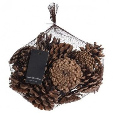 Conjunto de Pinhas 300g