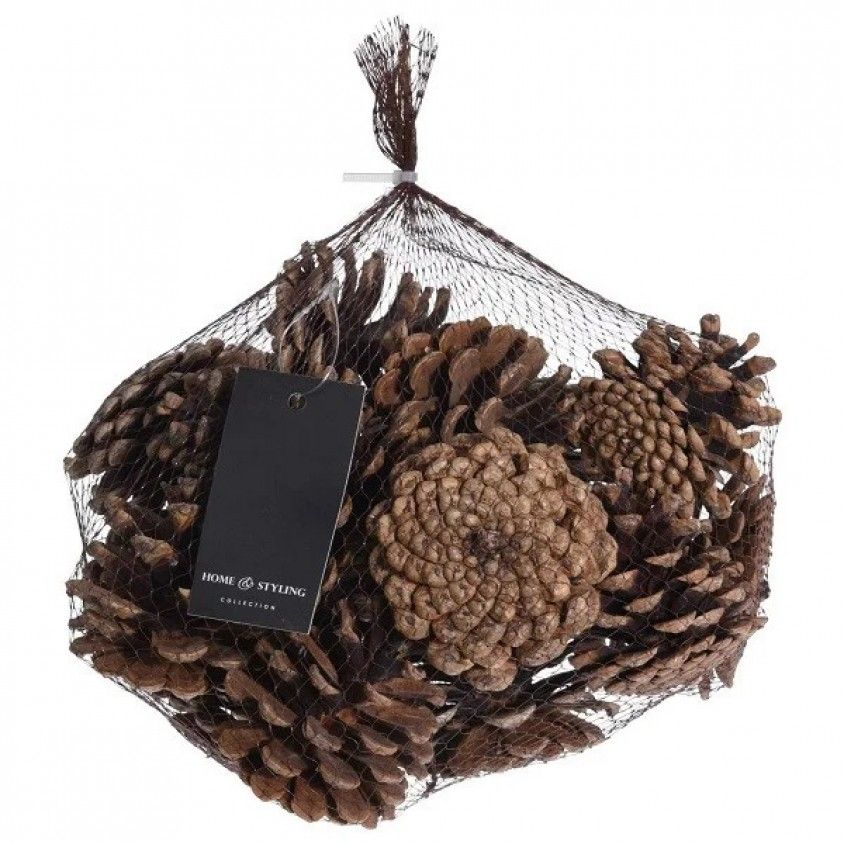 Conjunto de Pinhas 300g