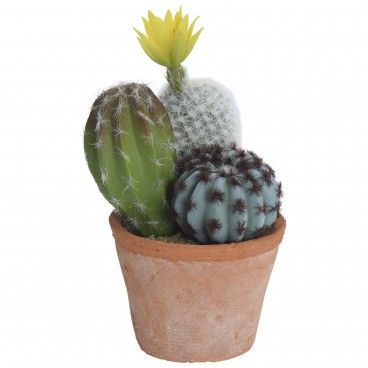 Cacto em Vaso Barro 3 Modelos Sortido