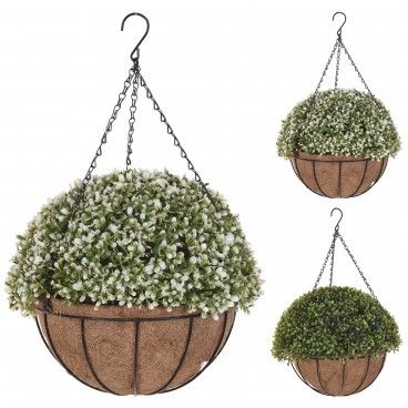 Vaso Natural Suspenso com Planta 2 Modelos Sortido