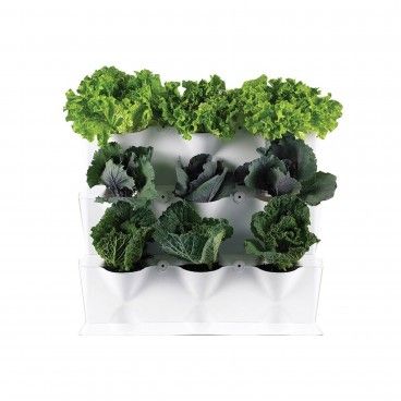 Jardim Vertical Mini Garden Branco