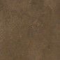 Porcelânico Retificado Forest Bruges Natural 60x60